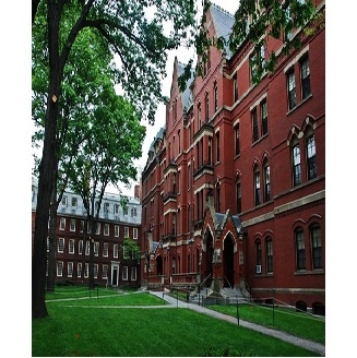 Harvard chuẩn bị xây trường đại học tại Việt Nam 