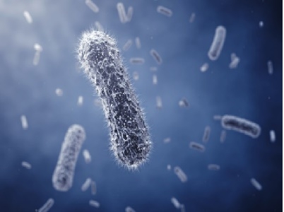 Khoa học tìm ra cách các vi khuẩn "nói chuyện" với nhau