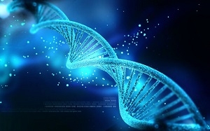 Loài người có thể sử dụng DNA của chính mình thay cho ổ cứng